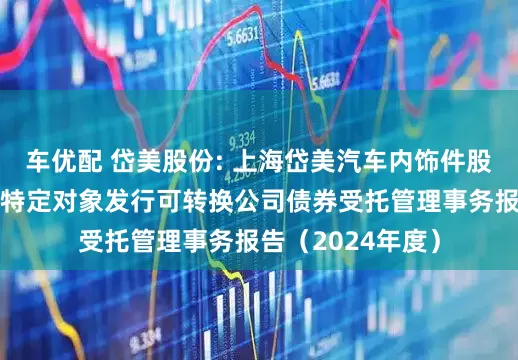 车优配 岱美股份: 上海岱美汽车内饰件股份有限公司向不特定对象发行可转换公司债券受托管理事务报告（2024年度）