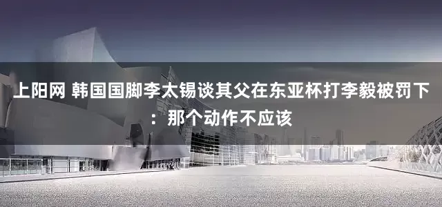 上阳网 韩国国脚李太锡谈其父在东亚杯打李毅被罚下：那个动作不应该